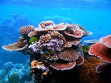 gbr
